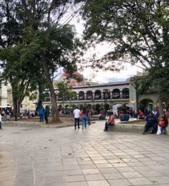 Plaza de la constitución (Zócalo)