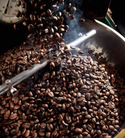 Nuevo Mundo Coffee Roaster