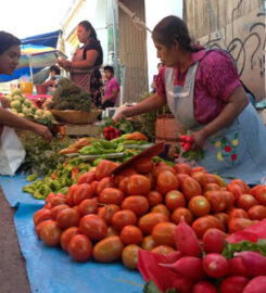 Mercado de Tlacolula