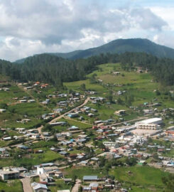 Cuajimoloyas (Sierra Norte)