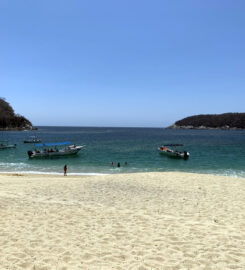 Playa Organo