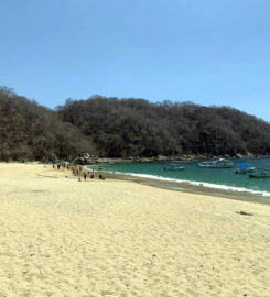 Playa Organo